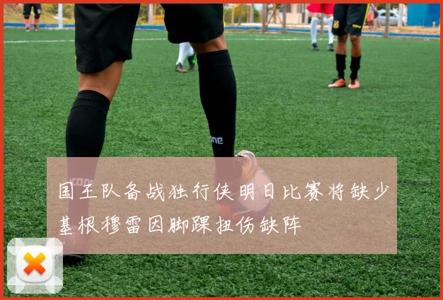 国王队备战独行侠明日比赛将缺少基根穆雷因脚踝扭伤缺阵