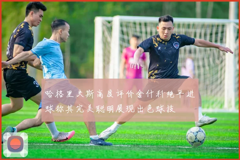 哈格里夫斯高度评价舍什科绝平进球称其完美聪明展现出色球技