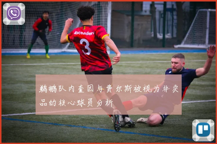 鹈鹕队内奎因与费尔斯被视为非卖品的核心球员分析
