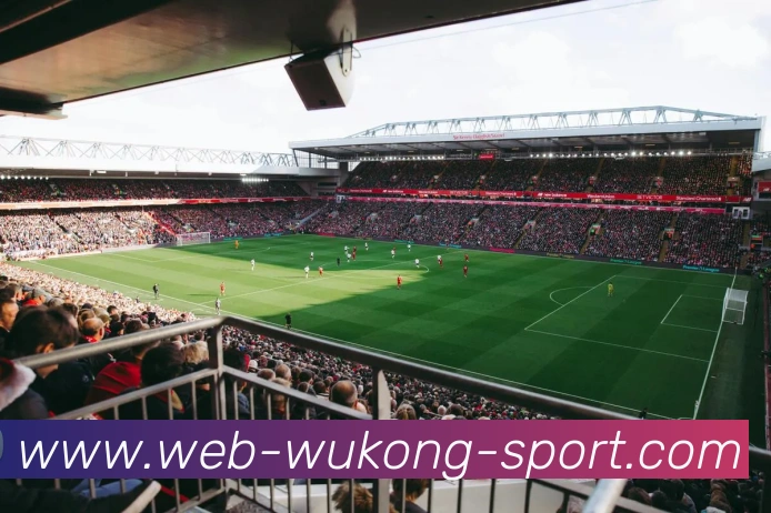 悟空体育发展历程